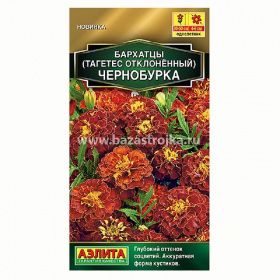 Бархатцы Чернобурка отклоненные 0,3гр (Аэлита)