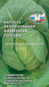 Капуста б/к Каменная головка 0,5гр  (СеДеК)