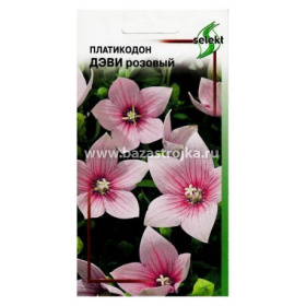 Платикодон Деви розовый  35шт (ССов)