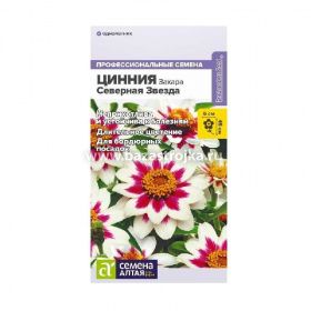 Цинния Захара Северная звезда 6шт