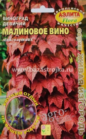 Виноград девичий Малиновое вино 7-10шт (Аэлита)