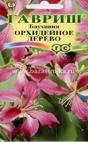 Баухиния Орхидейное дерево 3 шт/1гр (Гавриш)