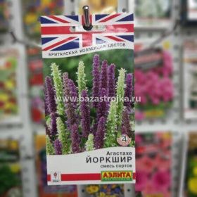 Агастахе Йоркшир смесь (Аэлита)