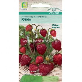 Земляника Руяна ремонтантная 100шт