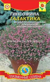 Гипсофила Галактика 0,005-0,01гр (Плазма)