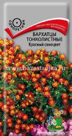 Бархатцы Красный самоцвет  0,1гр (ПЦц)