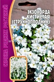Экзохорда кистистая (струнноплодник)  7шт