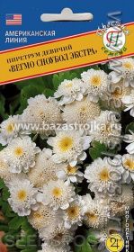 Пиретрум Вегмо Сноубол Экстра 10шт (Престиж)