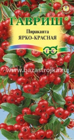 Пираканта Ярко-красная 5шт (Гавриш)