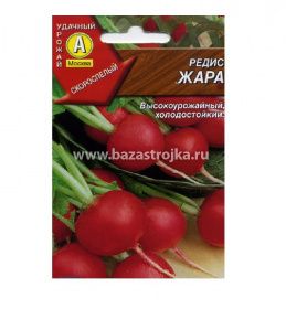 Редис Жара 3-5гр (Аэлита)